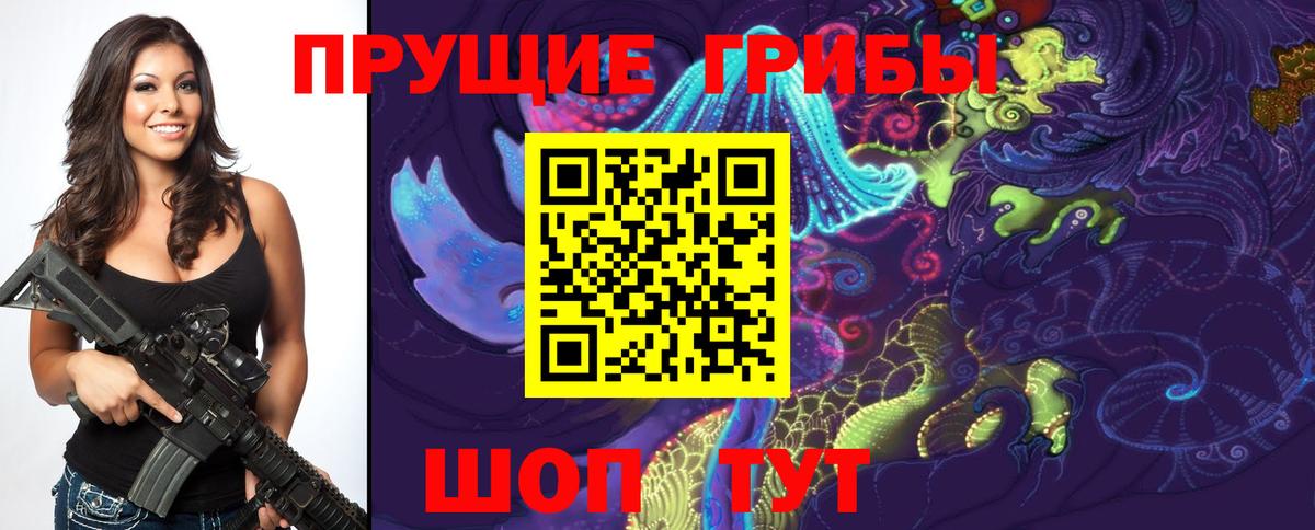 Псилоцибиновые грибы Psilocybe  Галлюциногенные грибы MAGIC MUSHROOMS  Вход с VPN  как найти наркотики  Губкин 