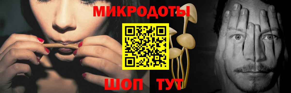 Галлюциногенные грибы мицелий Губкин