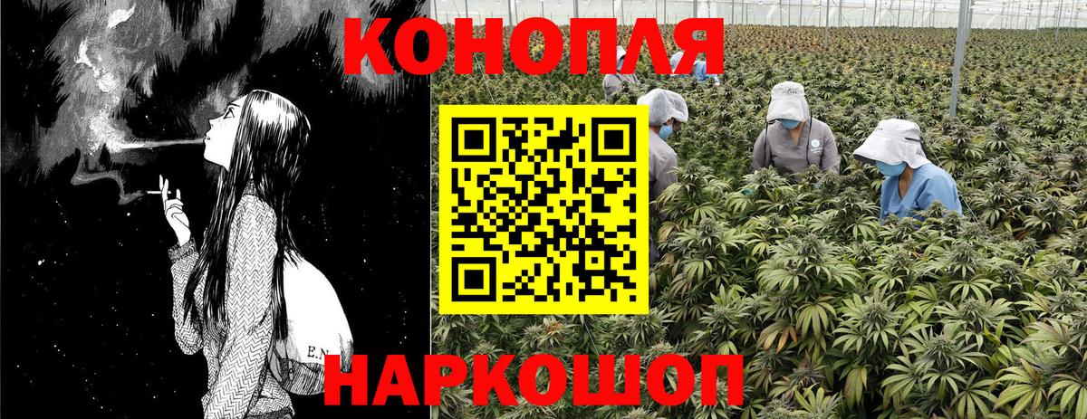 Бошки Шишки Bruce Banner  Шишки марихуана VHQ  Вход с VPN  Губкин  Марихуана индика 
